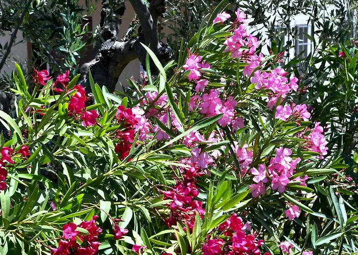 Vakantiehuis 'n Gray Sea & Mountain House Kalamáta